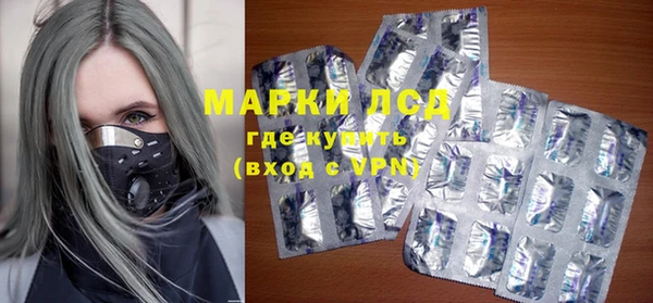 индика Армянск