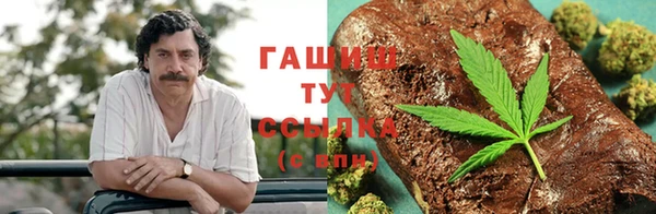 индика Армянск