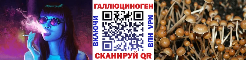дарк нет какой сайт  Озёрск  Галлюциногенные грибы GOLDEN TEACHER  как найти наркотики 